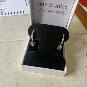 Cate& Chloe McKenzie 18k White Gold Plated Drop Dangle Earrings Women
